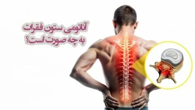 آناتومی ستون فقرات