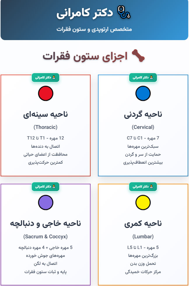 آناتومی ستون فقرات