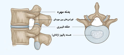 آناتومی ستون فقرات