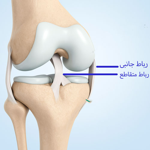 قدامی رباط قدامی
